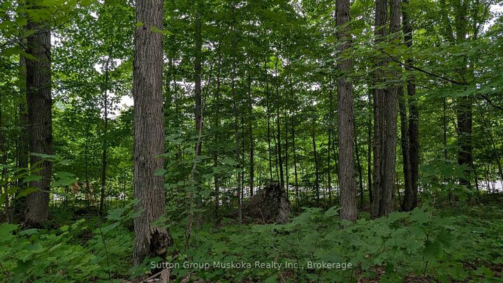 837 Aspdin Road — photo 1