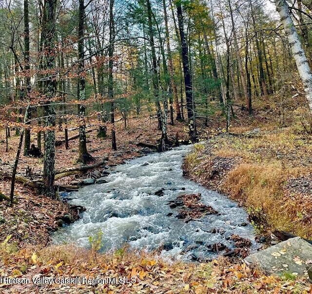 Property Photo:  126 Storks Nest  NY 12473 