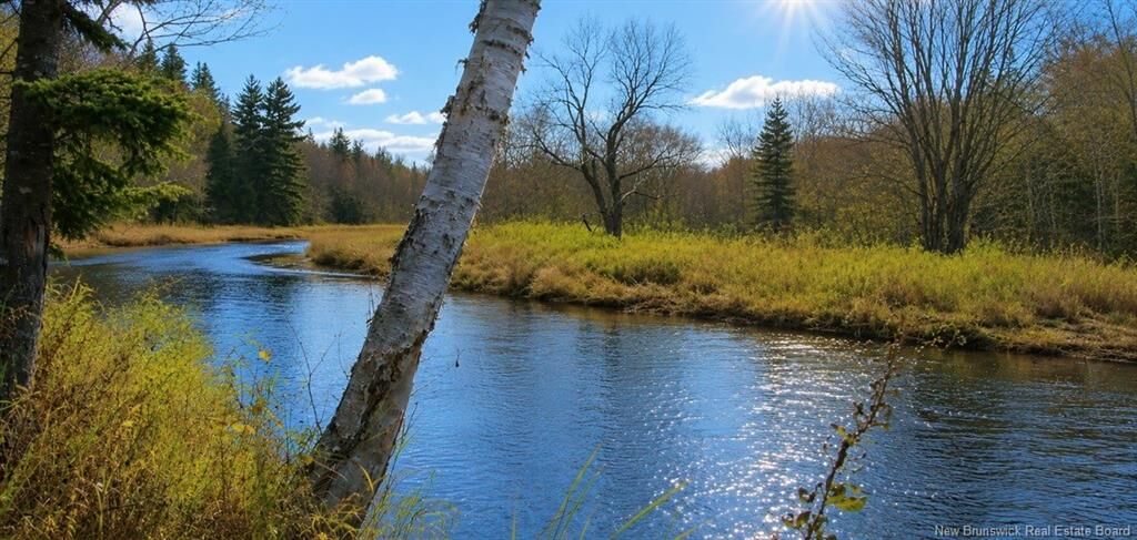 Property Photo:  89 Acres Bay Du Vin River Road  NB E1N 5C1 