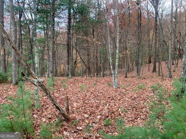 Property Photo:  Lot 4 Courtney Lane  GA 30512 