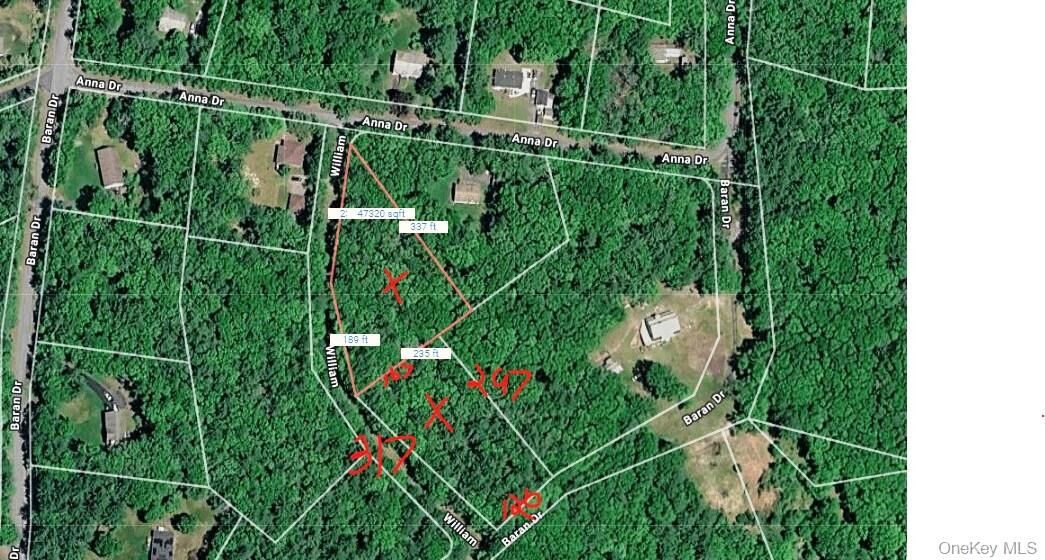 Property Photo:  Lot 27 William Street  NY 12737 