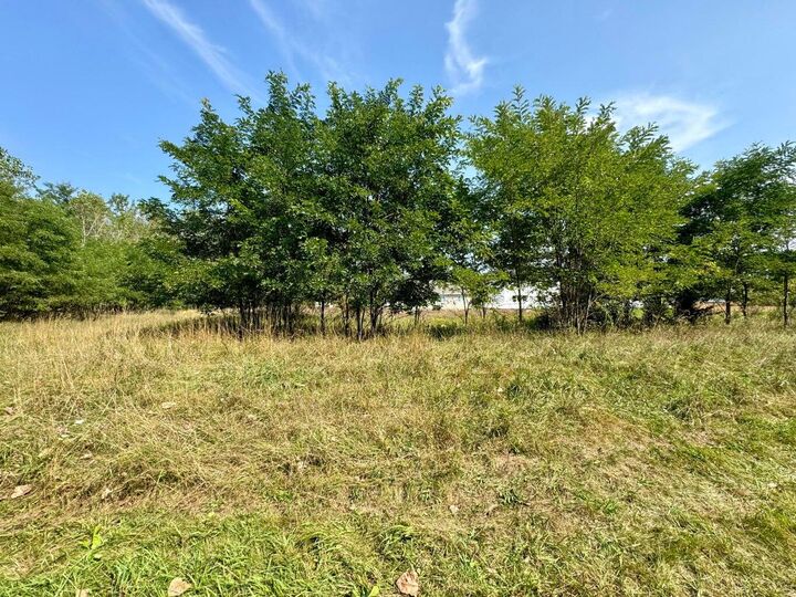 Property Photo:  Vl St Clair Circle  MI 49230 