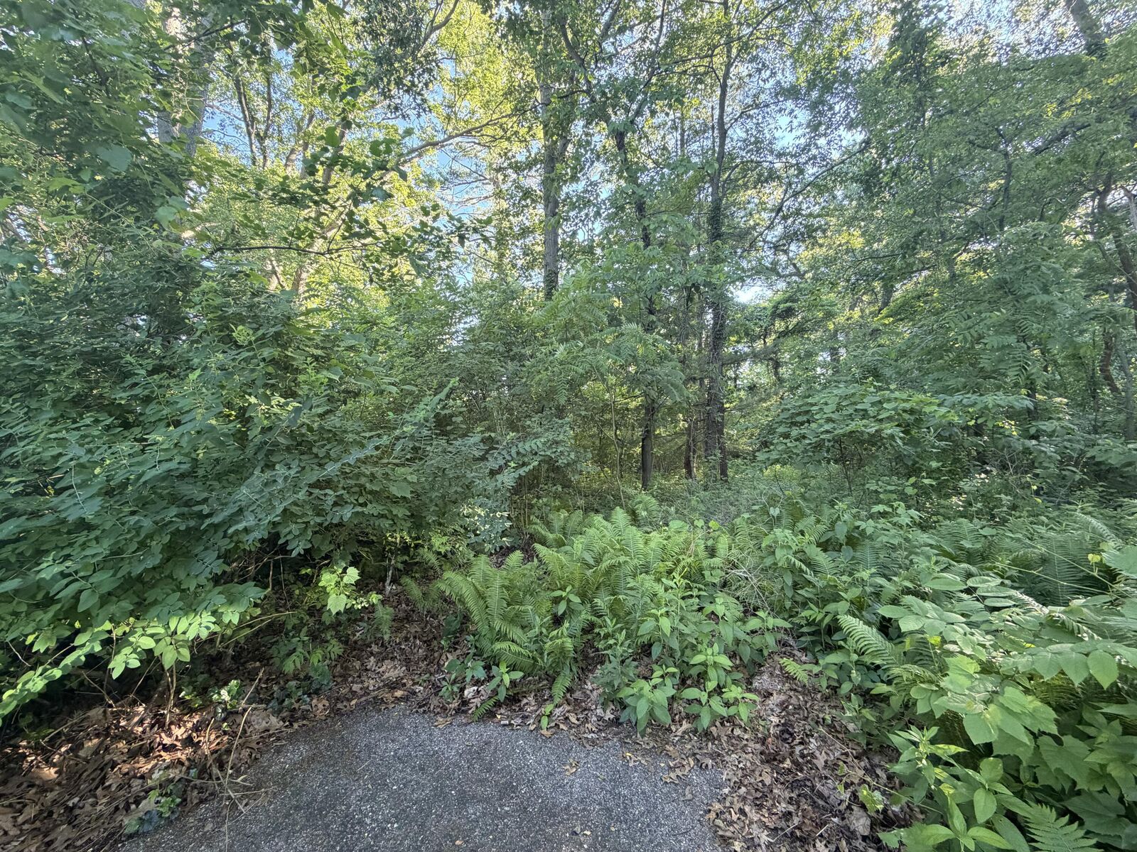 Property Photo:  6034 River Ridge Court  MI 49419 