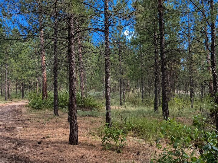 Property Photo:  1213 Fumi Cir  WA 99141 