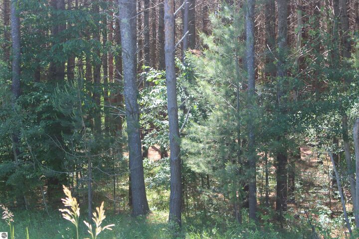 Property Photo: 00 Stone Circle Drive MI 49648
