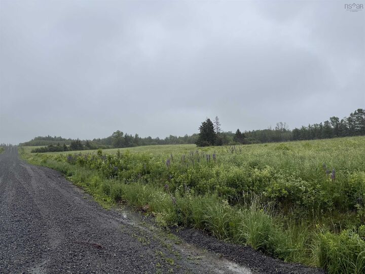 Property Photo:  Wallie Mingo Road  NS B0K 1V0 