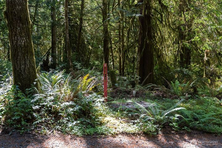 Property Photo: 1781 E Sunset Hill Road WA 98584