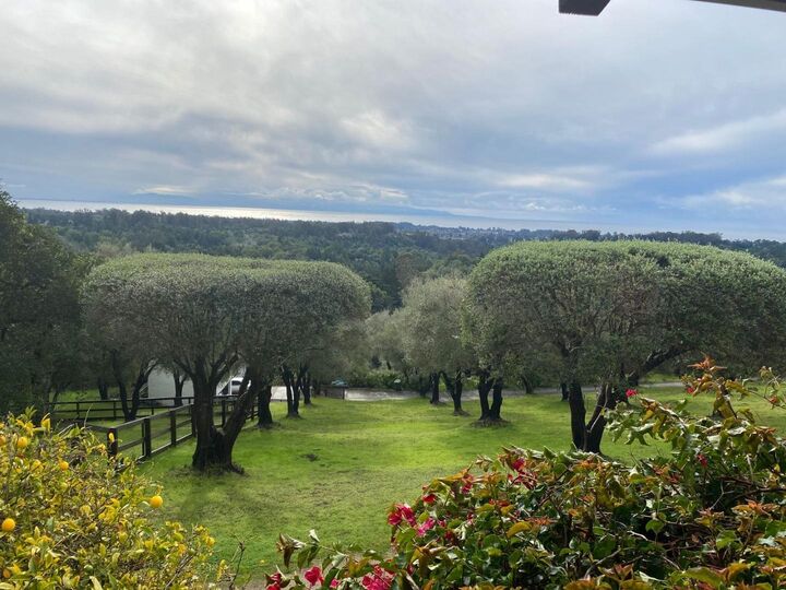 Property Photo:  3430 Loma Alta Lane  CA 95065 