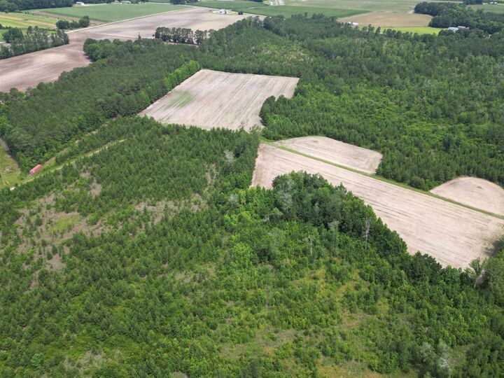 Property Photo:  Tbd Church Rd.  SC 29545 