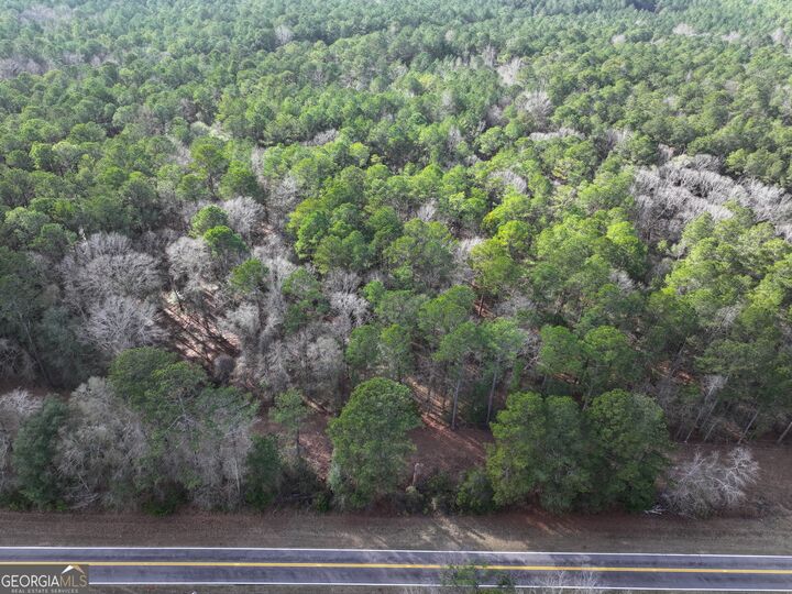 Property Photo:  Lot 1 Salem Road  GA 31822 