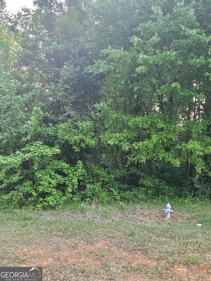 Property Photo:  974 W Hemphill Road  GA 30281 