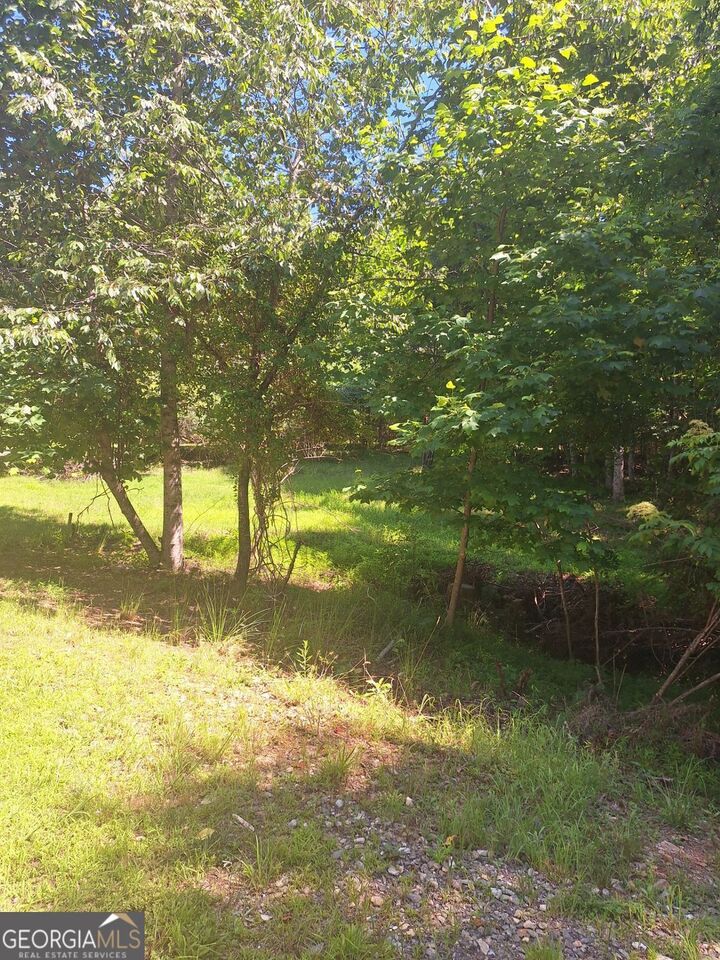 Property Photo: 0 Judah Road GA 30560