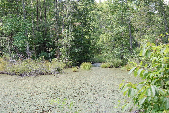 Property Photo: 57 Hugh Allison Road TN 37367