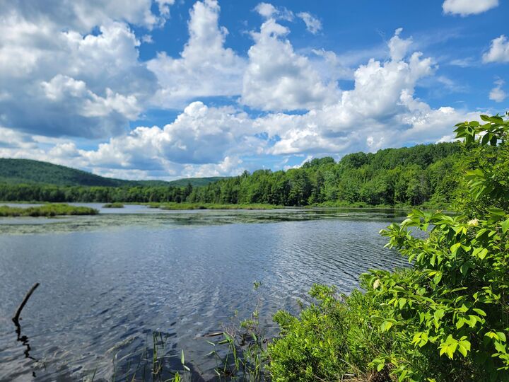 Property Photo:  477 Hadley Mill Road  ME 04921 