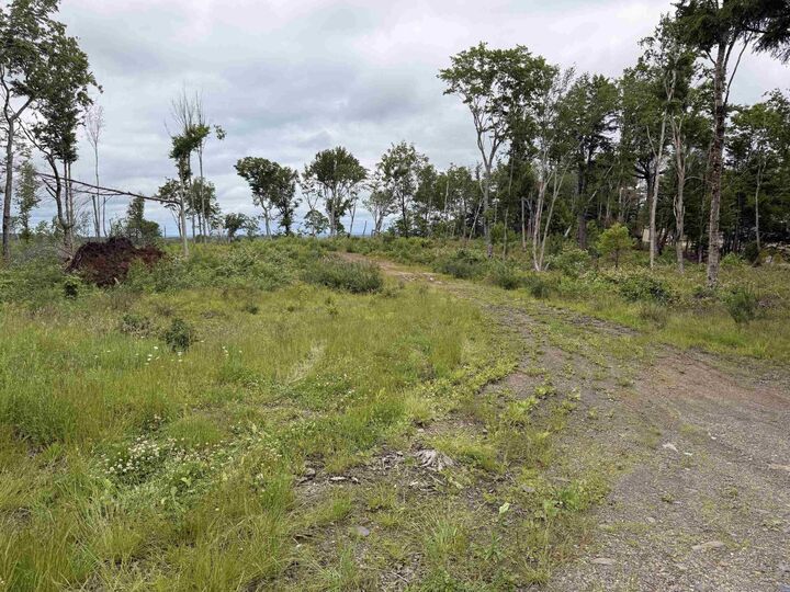Property Photo:  Lot 1 Big Lots Road  NS B0J 1E0 