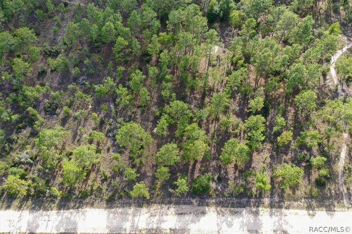 Property Photo: 0000 NE 132nd Lot 2 Terrace FL 32696