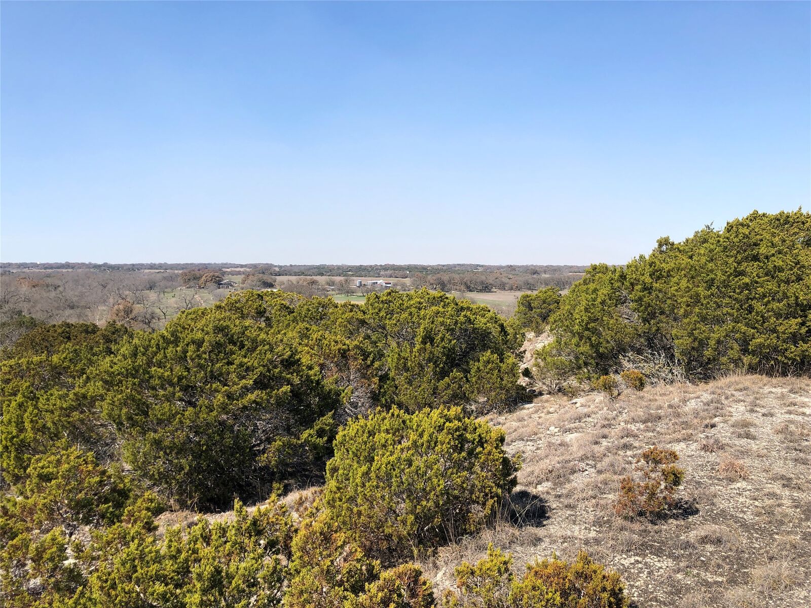 Property Photo: 6411 Fm 2657 TX 78608