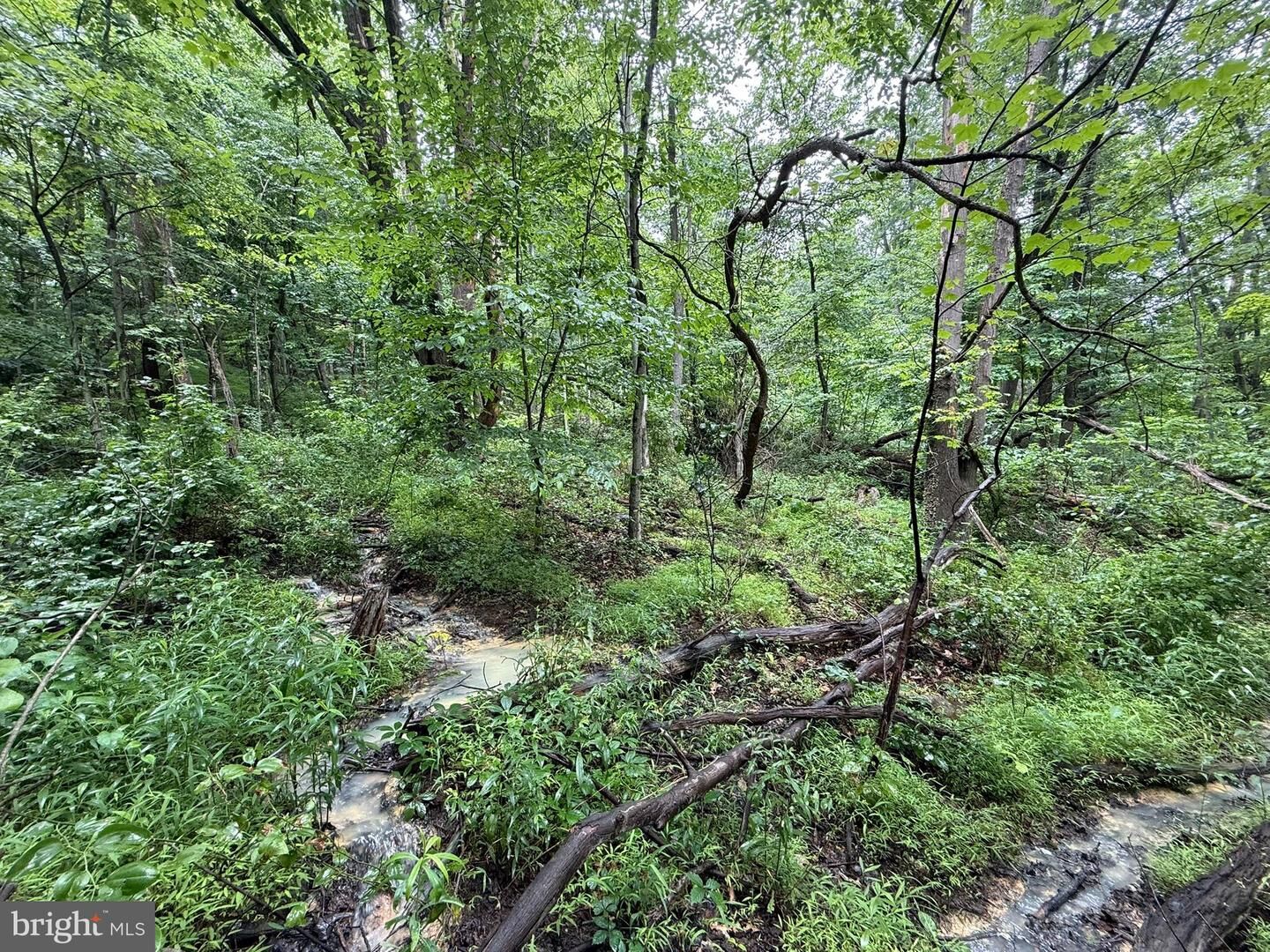 Property Photo: Rock Street SW MD 21562
