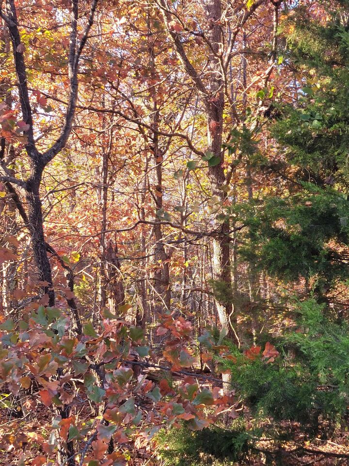 Property Photo: 17 Tohatchi Circle AR 72529