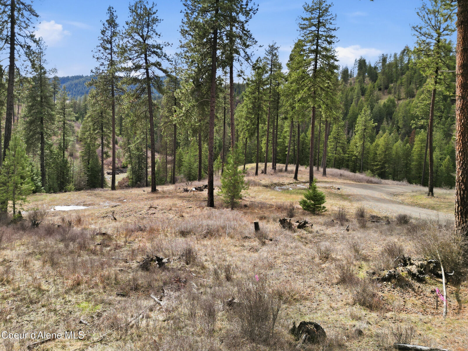 Property Photo:  2304 S Blue Creek Rd (Lot 2 &Amp Lot 3)  ID 83814 