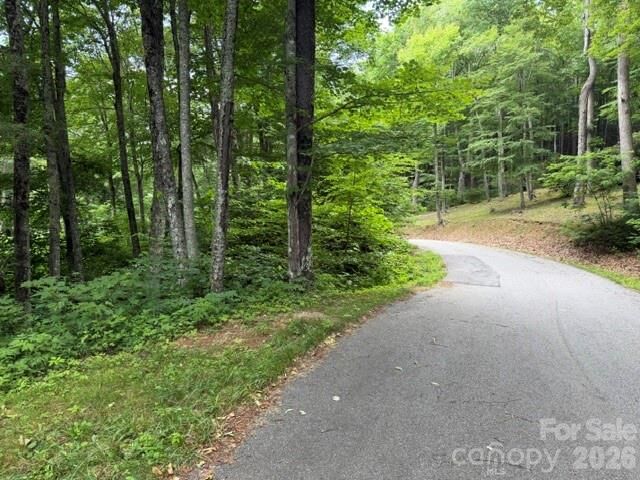 Property Photo:  Lot 37 Odalu Trail 37  NC 28751 