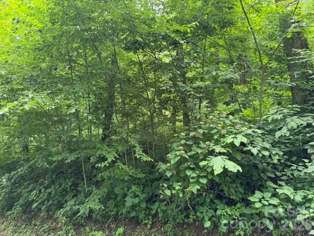 Property Photo:  Lot 19 Iga Trail 19  NC 28751 