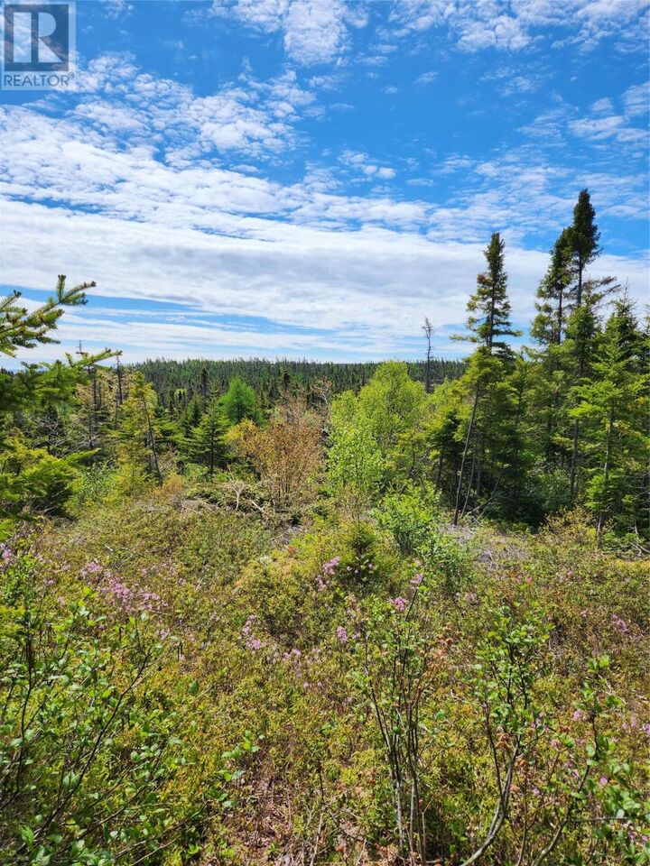Property Photo:  0 Old Track Road  NL A0A 0A5 