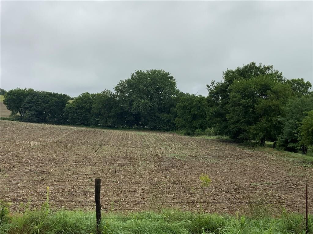 Property Photo:  14165 206th Street  KS 66052 