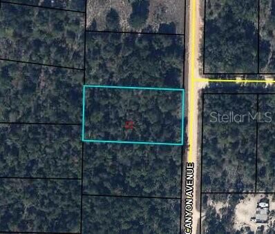 Property Photo: 0 Canyon Avenue FL 32420