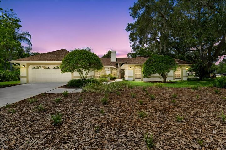Property Photo:  18106 Fairmead Court  FL 33548 