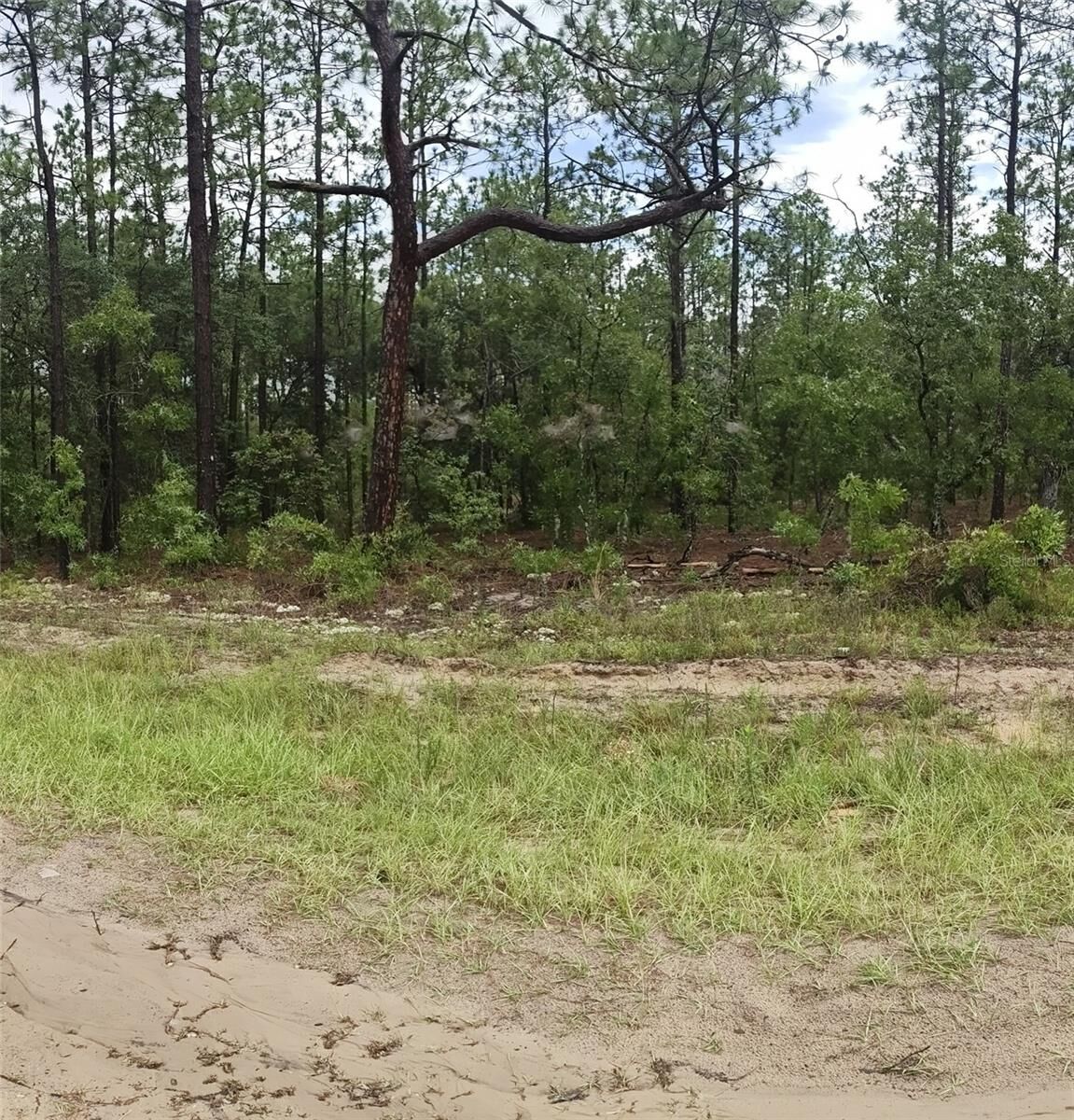 Property Photo:  00 SW 69 Place  FL 34481 