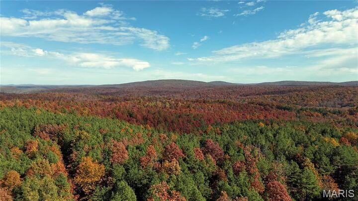 Property Photo:  0 Highway 49 Tract 5  MO 63957 