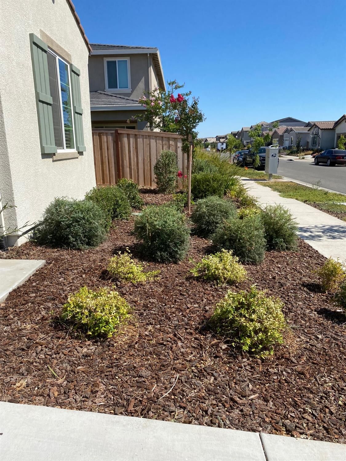 Property Photo:  442 Olivadi Way  CA 95834 