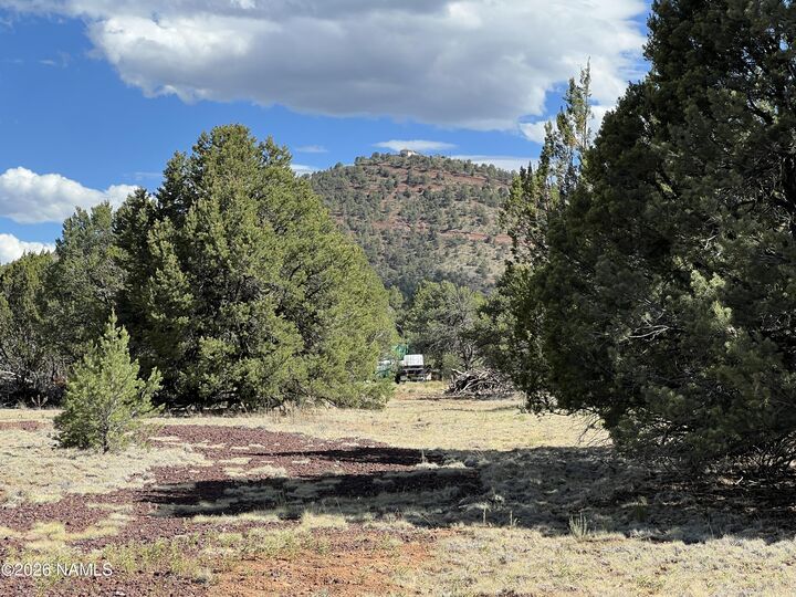 Property Photo:  7432 Daisy Drive  AZ 86046 