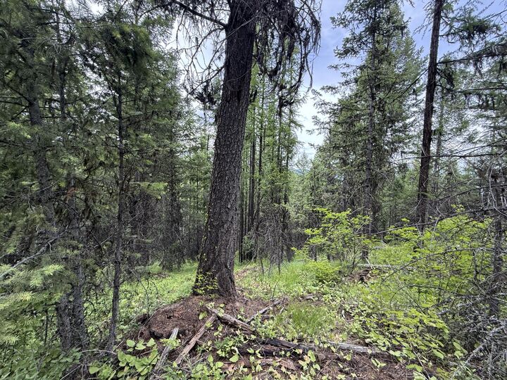 Property Photo:  Tbd Mule Deer Rd  WA 99166 