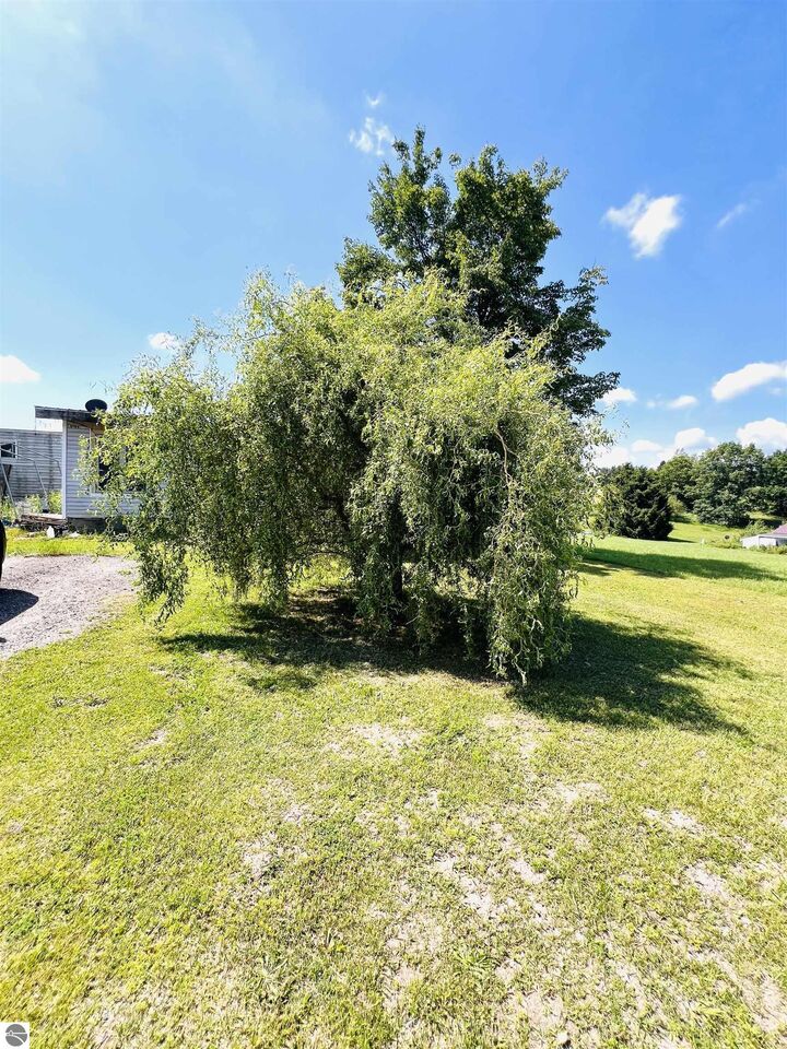 Property Photo: 111 Eastland Drive MI 49655