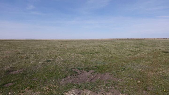 Vulcan County — photo 1