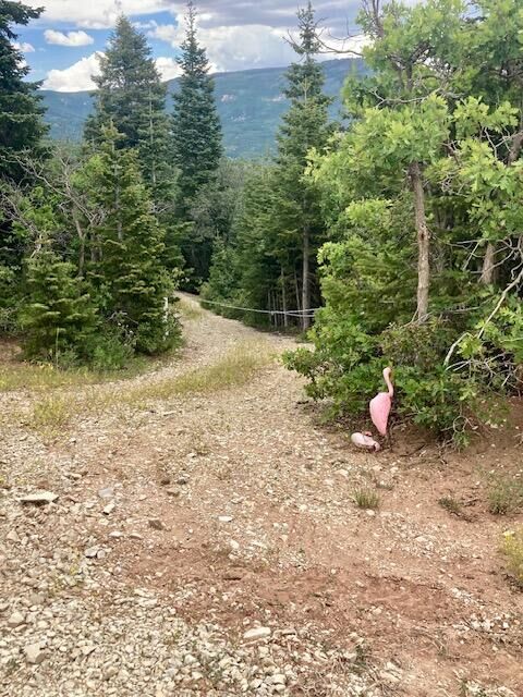 Property Photo:  1 Acre Lot N Kiwi Ln 102-A-2-C-Hv  UT 84767 