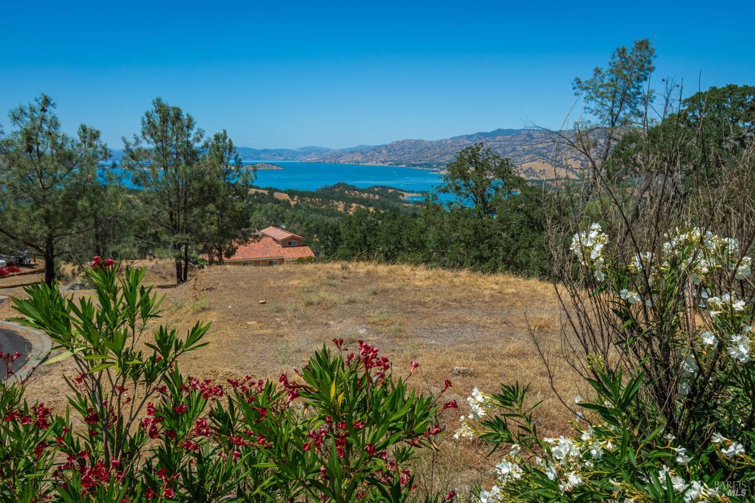 Property Photo: 1018 Westridge Drive 238 CA 94558