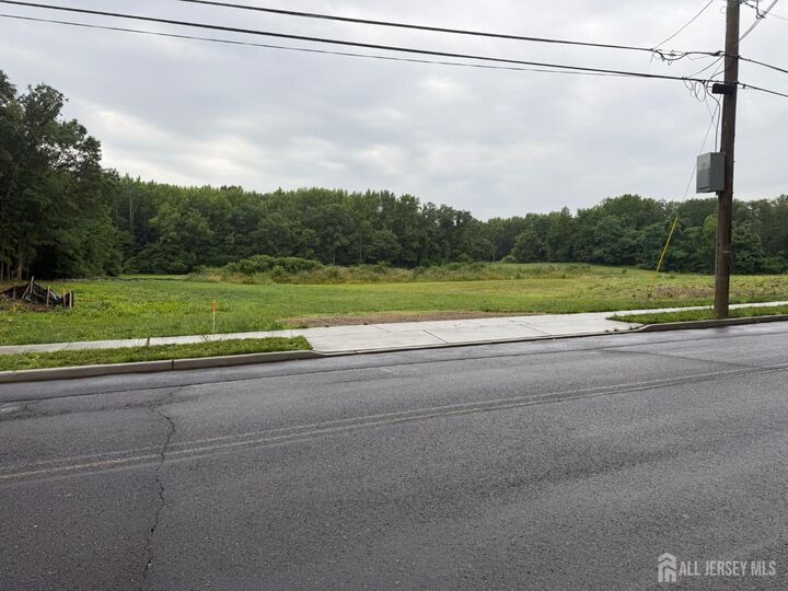 Property Photo:  59 Jurgelsky Road  NJ 08831 