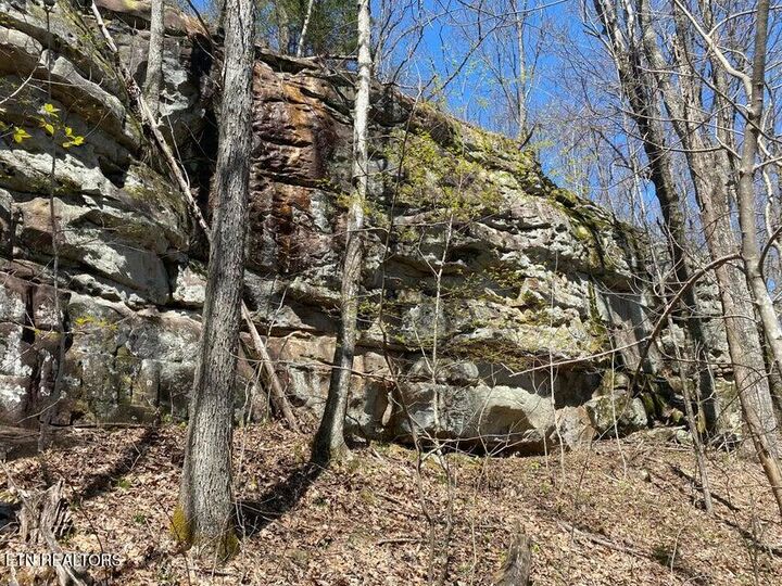 Property Photo:  298 Fieldstone Lane  TN 37367 