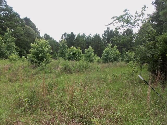 Property Photo:  Tbd Samples Road  TX 75662 