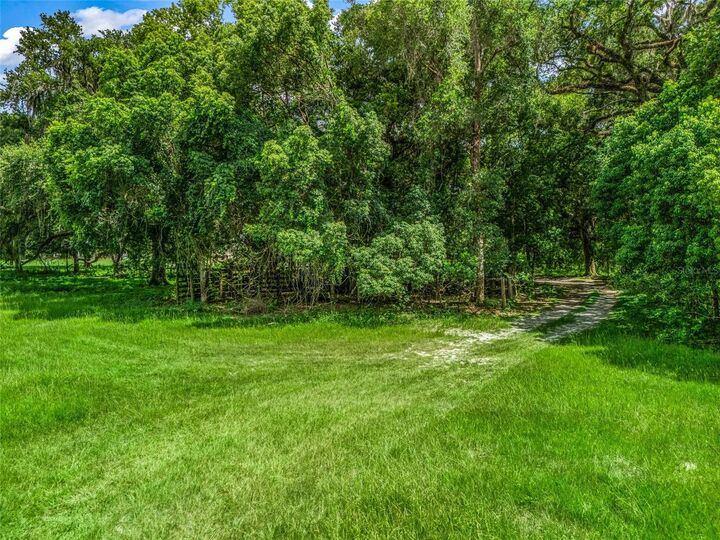 Property Photo: 0000 Cr 738 Unassigned FL 33597