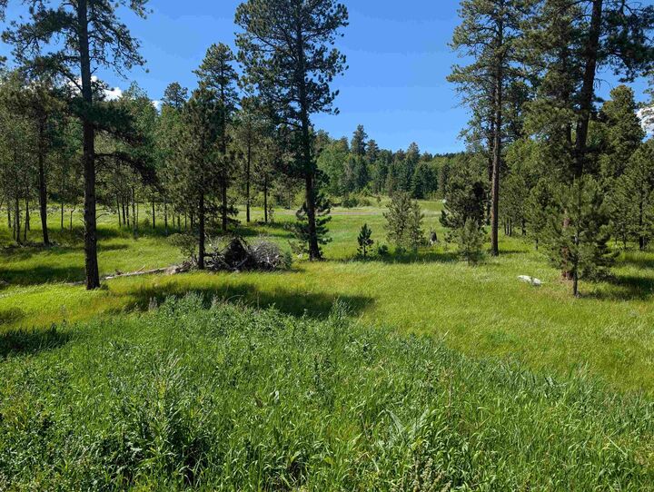 Property Photo:  Tbd Rochford Road  SD 57754 