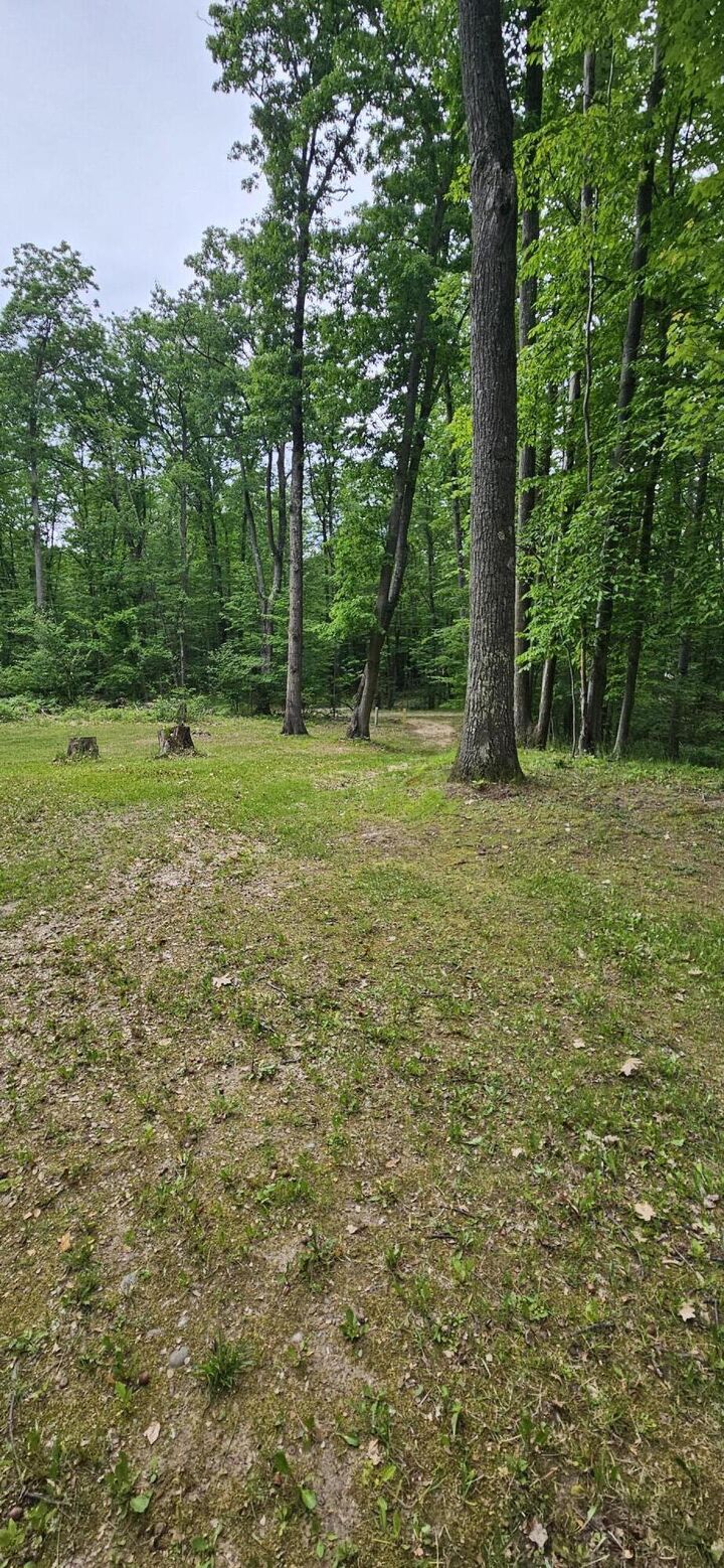 Property Photo: 10527 Wampum Trail MI 49631