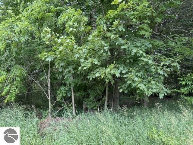Property Photo:  Tbd N Lincoln  MI 48888 