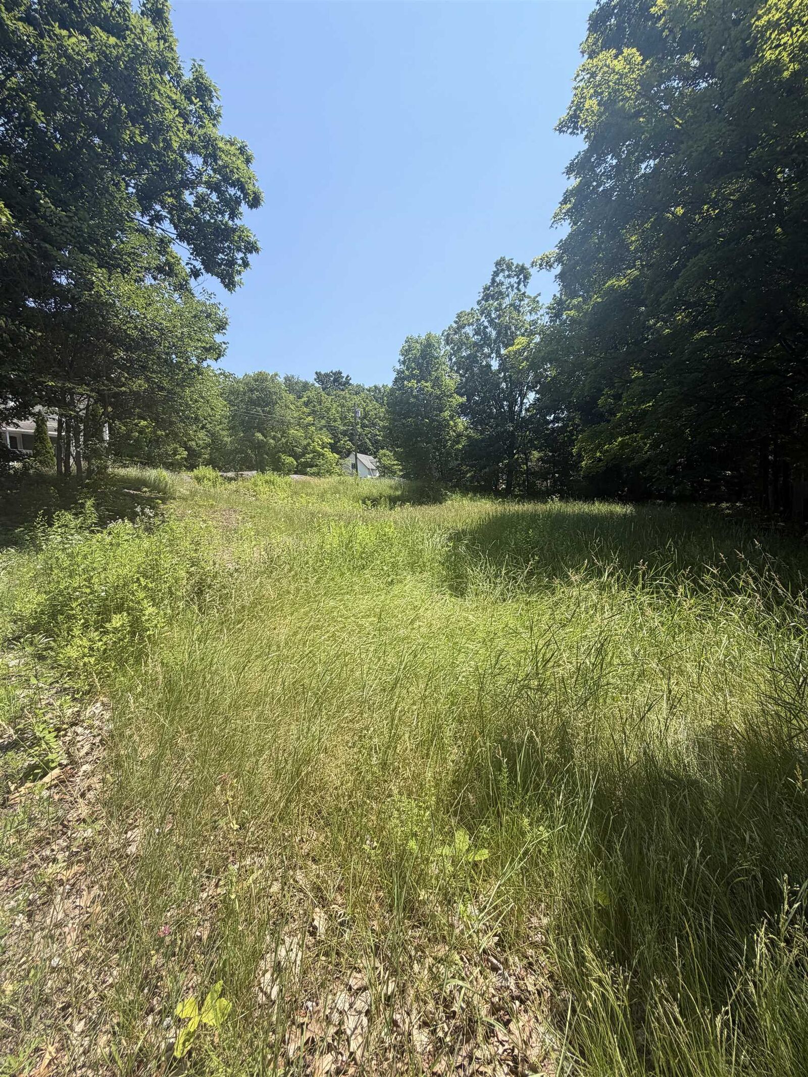 Property Photo:  16 Sullivan Street  NH 03431 