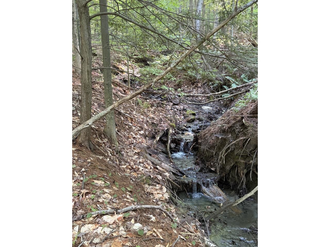 Property Photo:  0 Old Carriage Road  VT 05673 