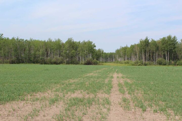 Property Photo: 125 Range Road SE AB T0H 1N0
