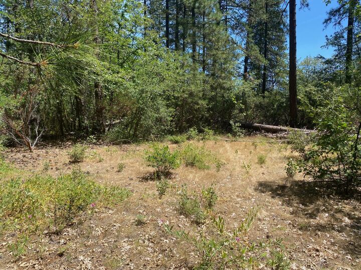 Property Photo:  00000 Riverview Drive  CA 96051 